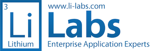 Lithium Labs - Enterprise Application Experts